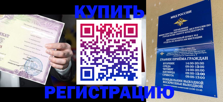 временная регистрация собственник в Камчатской области